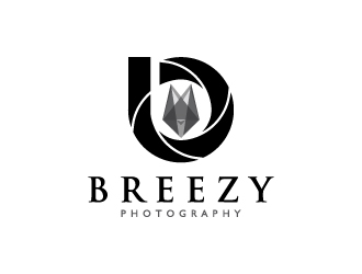 Breezy Photography logo design - 48HoursLogo.com