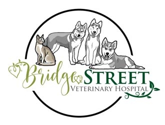 Bridge Street Veterinary Hospital logo design by logoguy