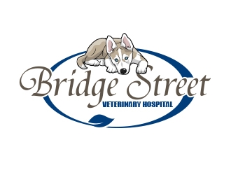 Bridge Street Veterinary Hospital logo design by shernievz