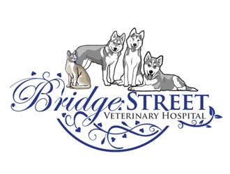 Bridge Street Veterinary Hospital logo design by logoguy