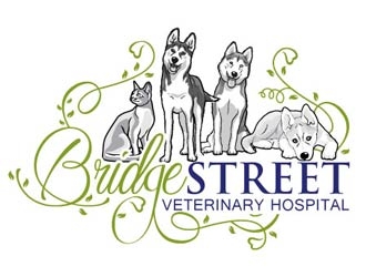 Bridge Street Veterinary Hospital logo design by logoguy