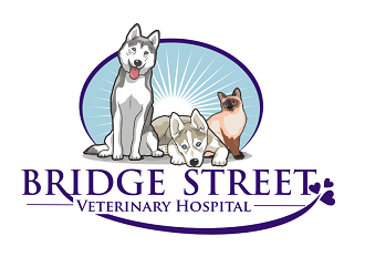 Bridge Street Veterinary Hospital logo design by coco