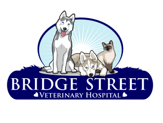 Bridge Street Veterinary Hospital logo design by coco