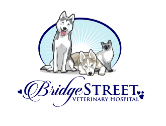 Bridge Street Veterinary Hospital logo design by coco