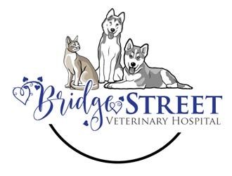 Bridge Street Veterinary Hospital logo design by logoguy