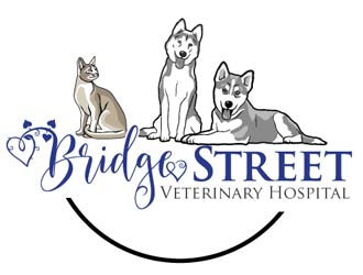 Bridge Street Veterinary Hospital logo design by logoguy