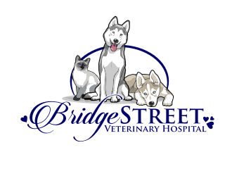 Bridge Street Veterinary Hospital logo design by coco