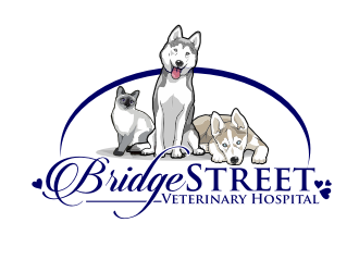 Bridge Street Veterinary Hospital logo design by coco