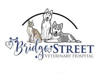 Bridge Street Veterinary Hospital logo design by logoguy