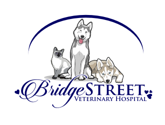 Bridge Street Veterinary Hospital logo design by coco