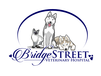 Bridge Street Veterinary Hospital logo design by coco