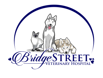 Bridge Street Veterinary Hospital logo design by coco