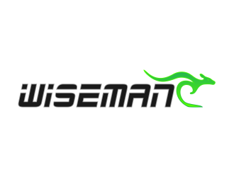 WISEMAN logo design by jm77788