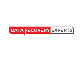 Data Recovery Experts logo design by kimora