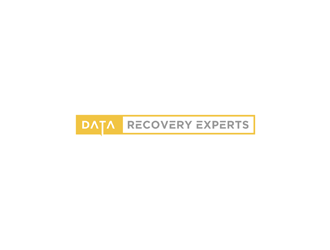 Data Recovery Experts logo design by ndaru