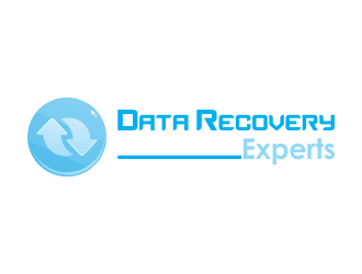 Data Recovery Experts logo design by ROSHTEIN