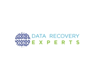 Data Recovery Experts logo design by Erasedink