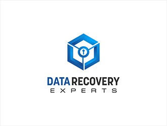 Data Recovery Experts logo design by hole