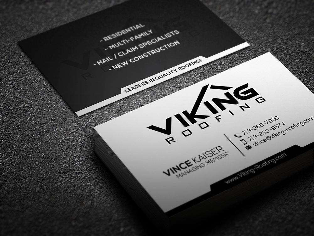 Viking Business Card logo design by aamir