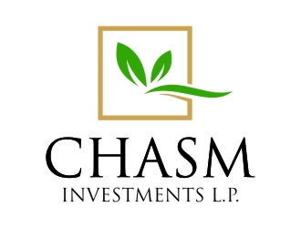 Chasm Investments L.P. logo design by jetzu