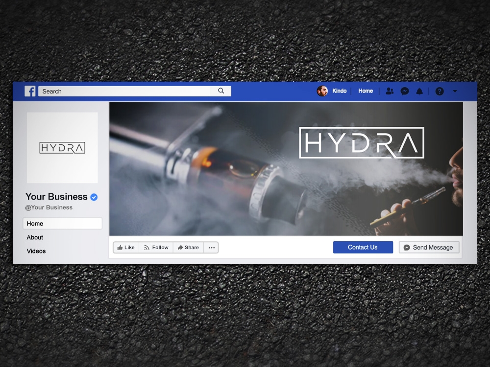 Hydra logo design by Kindo