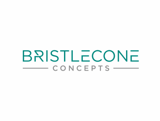 Bristlecone Concepts logo design by scolessi