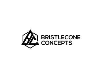 Bristlecone Concepts logo design by Akhtar