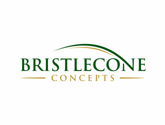 Bristlecone Concepts logo design by scolessi