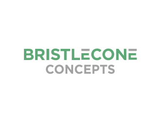 Bristlecone Concepts logo design by Greenlight