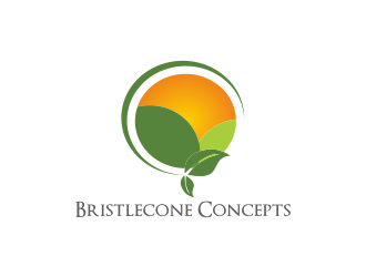 Bristlecone Concepts logo design by Greenlight