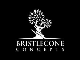 Bristlecone Concepts logo design by MonkDesign