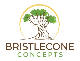 Bristlecone Concepts logo design by MonkDesign