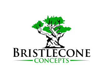 Bristlecone Concepts logo design by qqdesigns