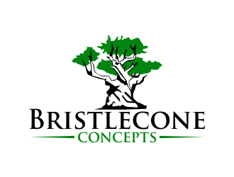 Bristlecone Concepts logo design by qqdesigns