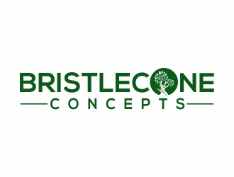 Bristlecone Concepts logo design by MonkDesign