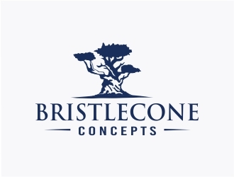 Bristlecone Concepts logo design by Mardhi