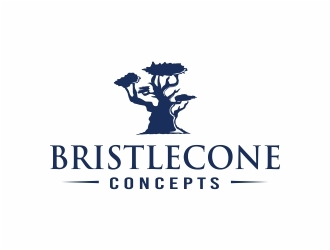 Bristlecone Concepts logo design by Mardhi