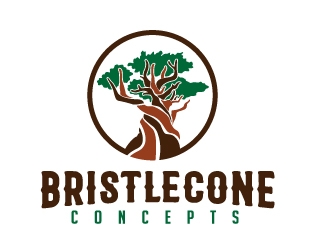 Bristlecone Concepts logo design by jaize