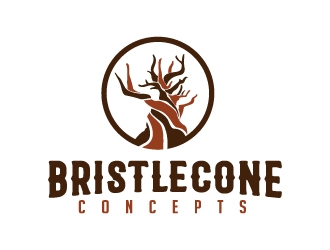 Bristlecone Concepts logo design by jaize