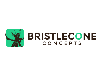 Bristlecone Concepts logo design by rgb1