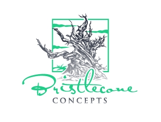 Bristlecone Concepts logo design by aRBy