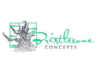 Bristlecone Concepts logo design by aRBy