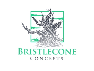 Bristlecone Concepts logo design by aRBy