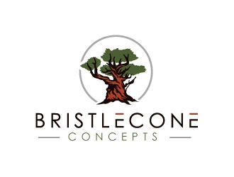 Bristlecone Concepts logo design by REDCROW