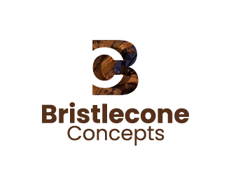 Bristlecone Concepts logo design by Fajar Faqih Ainun Najib