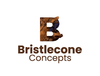 Bristlecone Concepts logo design by Fajar Faqih Ainun Najib