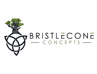 Bristlecone Concepts logo design by REDCROW