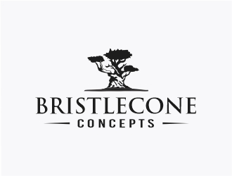 Bristlecone Concepts logo design by Mardhi