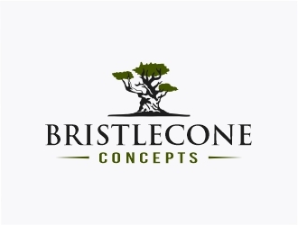 Bristlecone Concepts logo design by Mardhi