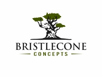 Bristlecone Concepts logo design by Mardhi